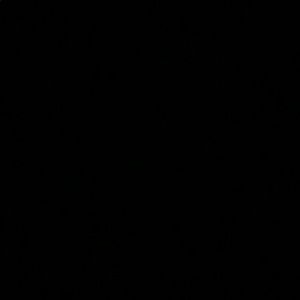 Meet your Posher, Bella